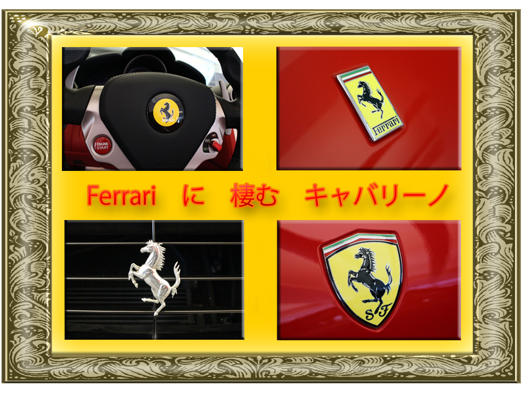 Cavallino Rampante （カヴァッリーノ・ランパンテ） | コーンズ